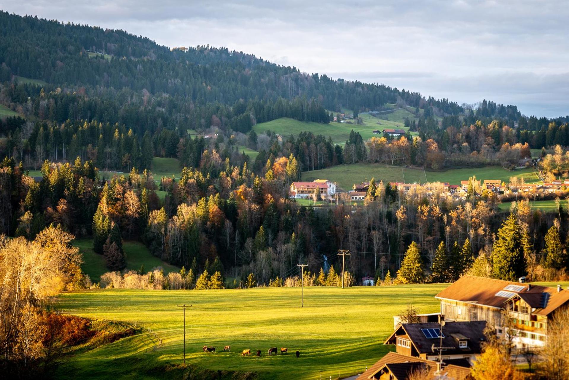 Апартаменти Eibele Chalets Оберштауфен Екстер'єр фото